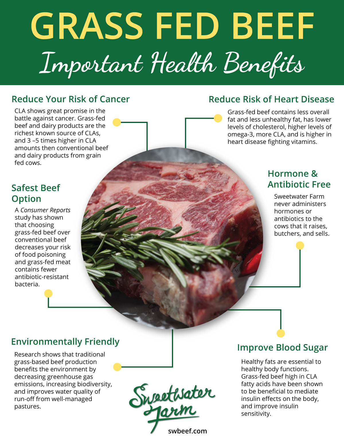 6 Reasons Grass Fed Beef is Great for the Environment and